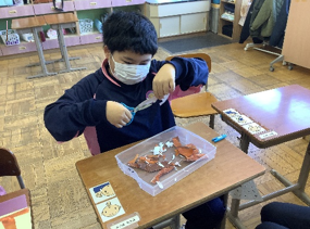 スクリーンショット 2025-12-04 172116